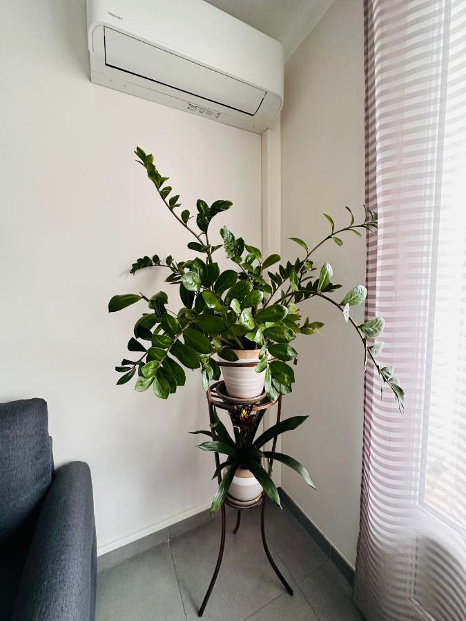 Le Soulier De Notre Dame Apartment Marseille Bagian luar foto